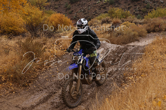 JW_VCGP'21_7158