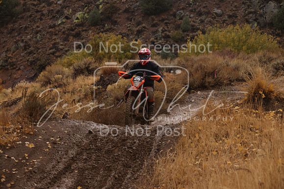 JW_VCGP'21_7576