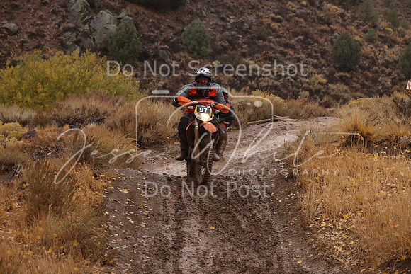 JW_VCGP'21_7594