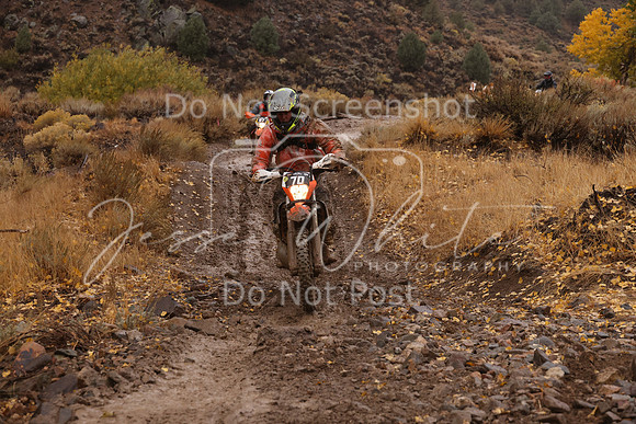 JW_VCGP'21_7592