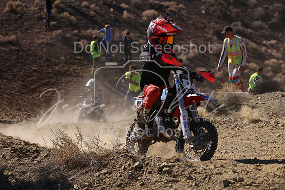 IMG_7673-104z