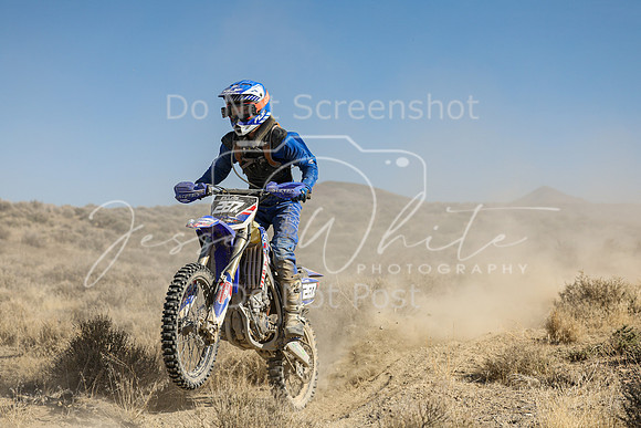 IMG_7517-287n