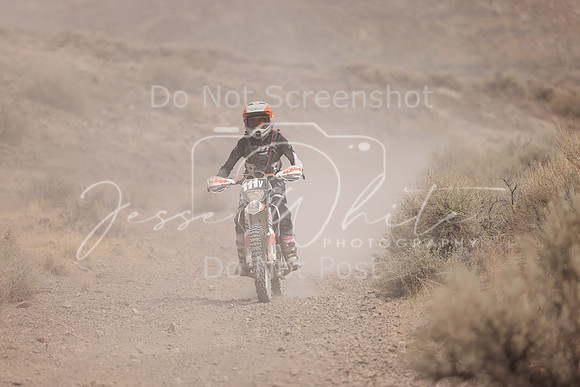 IMG_9241-111v