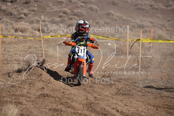 IMG_7094-313