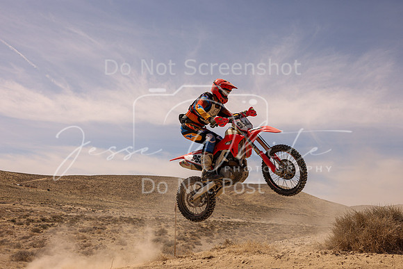 IMG_3181-954n