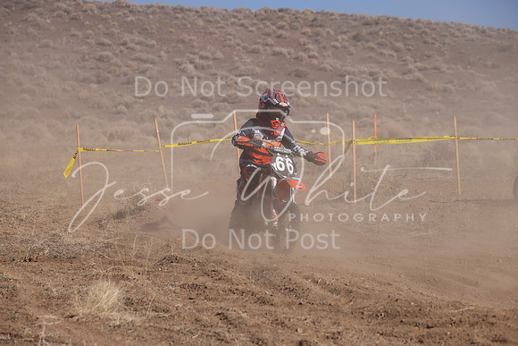 IMG_7144-66y