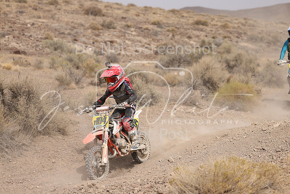IMG_9284-y104