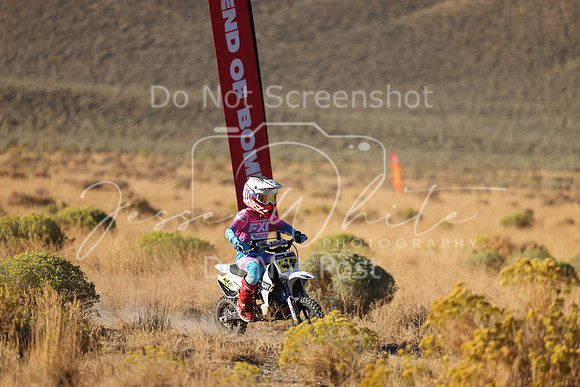IMG_0201-n44p