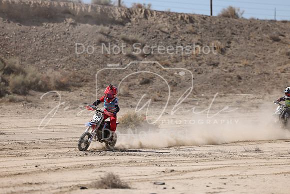 IMG_1967-104z