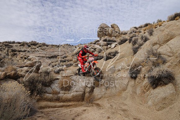 JW_Tank'21_8648
