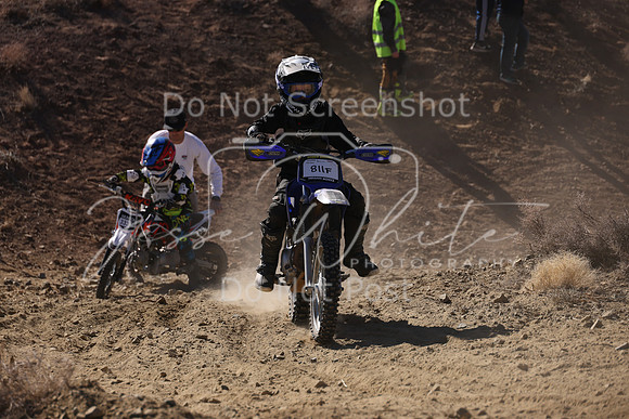 IMG_7656-811f-333
