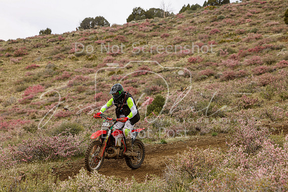 IMG_2361-203