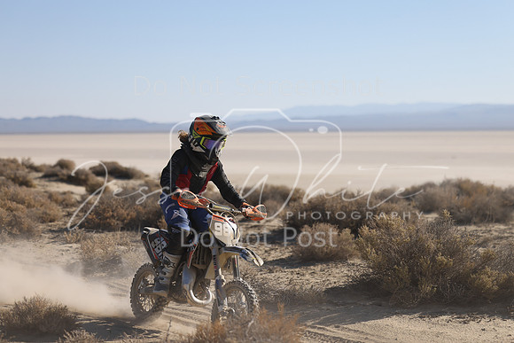 IMG_6614-981y