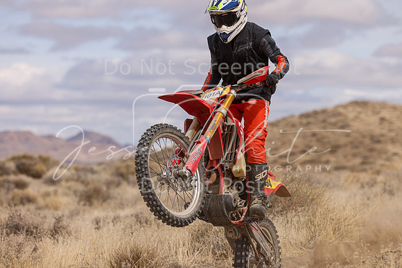 IMG_0560-101a