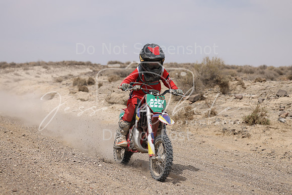 IMG_9659-225y