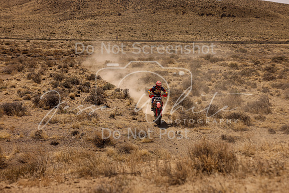 IMG_3179-954n