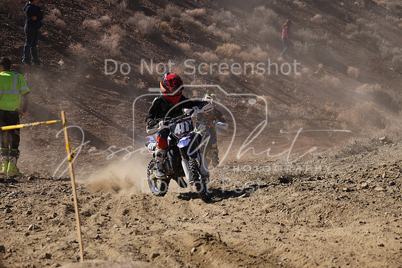 IMG_7688-411y