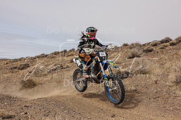 IMG_0874-8a