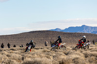 IMG_4025-33-252-7