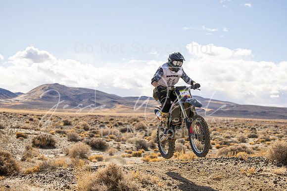 IMG_5065-310x