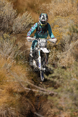 IMG_8393-84w