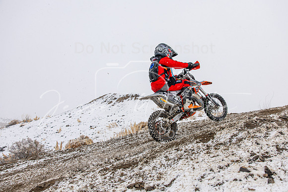 IMG_6537-928y