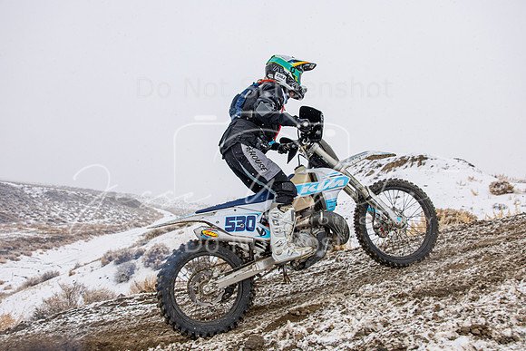 IMG_6551-530v