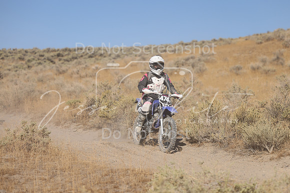 IMG_3202-474v
