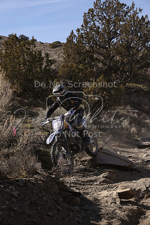 IMG_7433