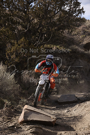 IMG_7736