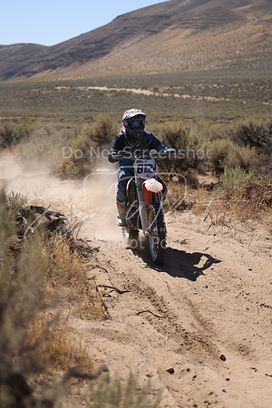 IMG_4616-812v