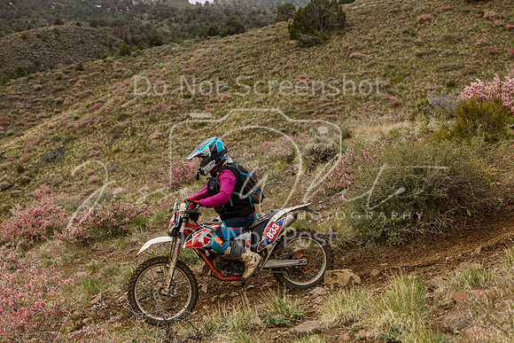 IMG_2356-833
