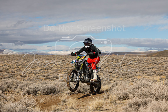 IMG_2219-2t