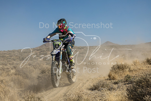 IMG_7724-718w