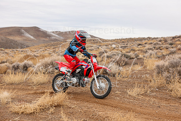 IMG_7100-517f
