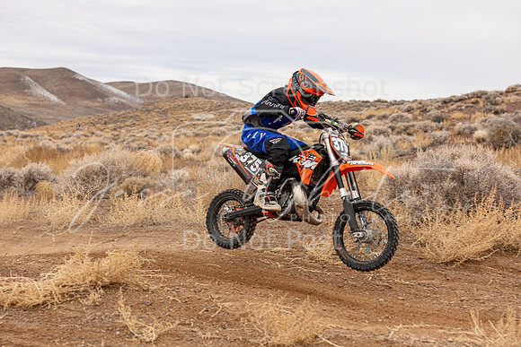 IMG_7124-375y