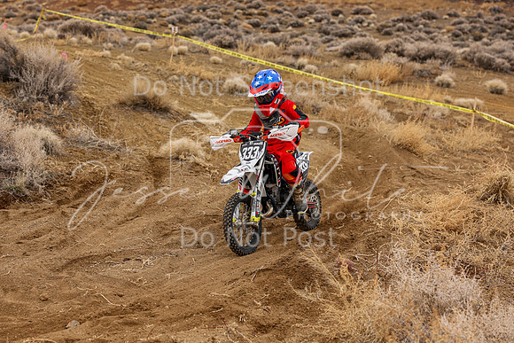 IMG_7352-333y