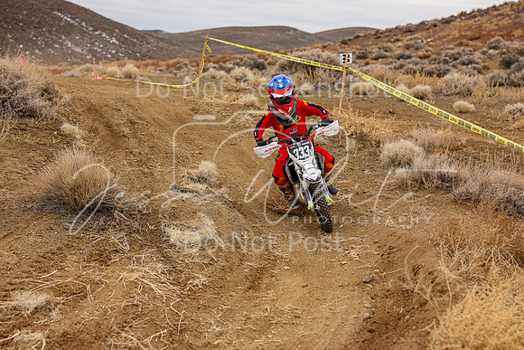 IMG_7424-333y
