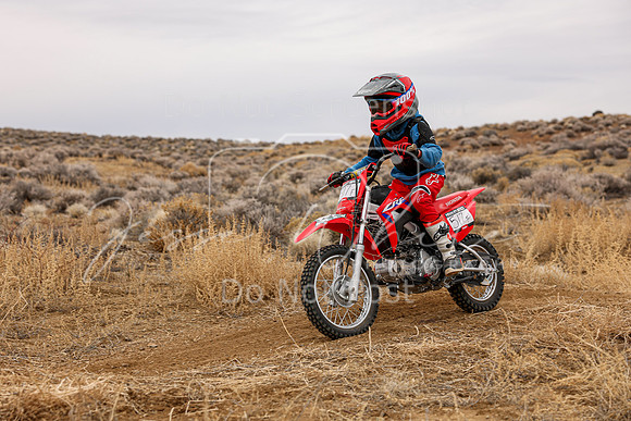 IMG_7454-517f