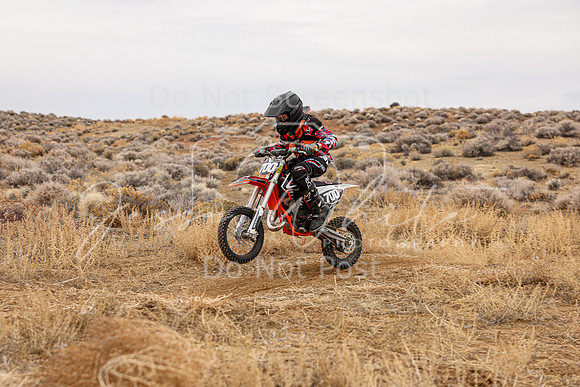 IMG_7569-700y