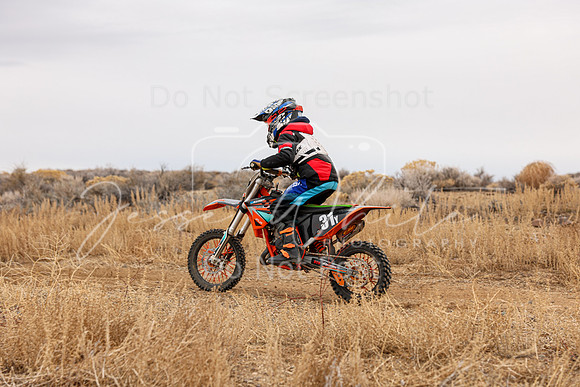 IMG_7601-31y