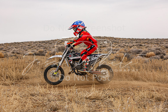 IMG_7631-333y