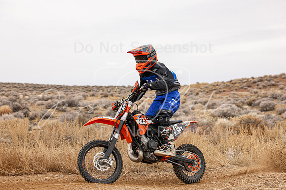 IMG_7935-375y