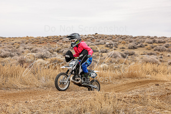 IMG_8006-626y
