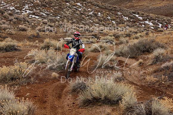 IMG_8288-777v
