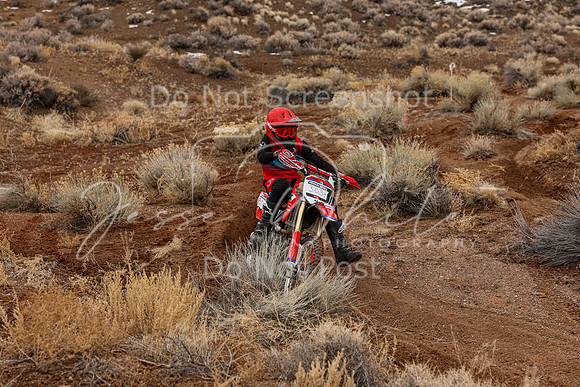 IMG_8293-303j