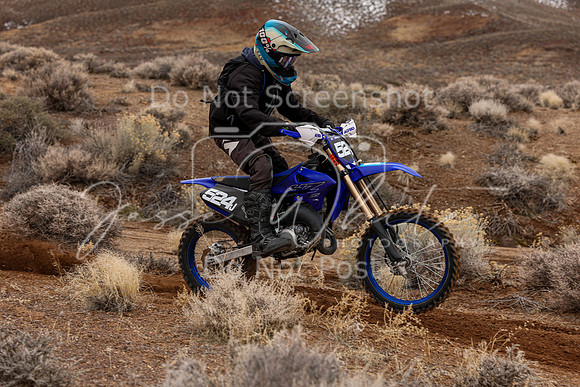 IMG_8374-524j