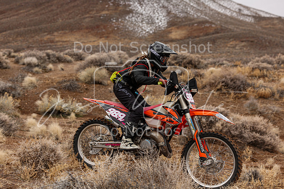 IMG_8394-989v
