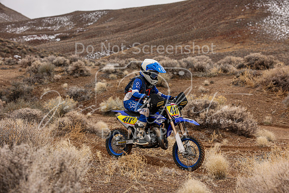 IMG_8444-411y