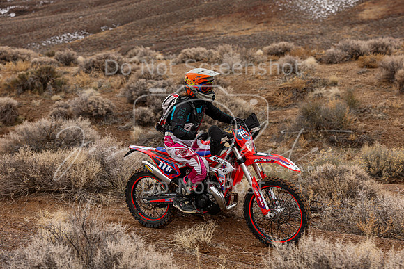 IMG_8496-111v